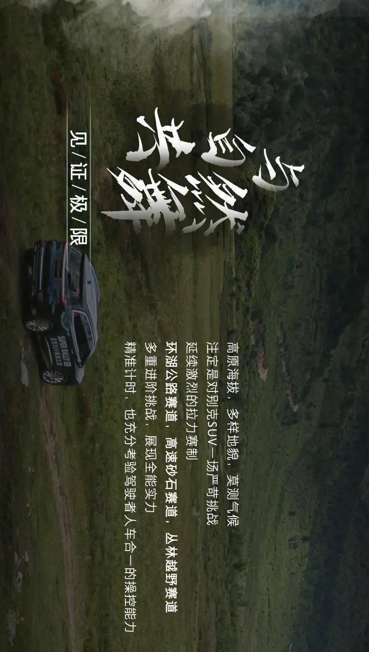 卧室养什么花好-分享你的喜悦与忧愁